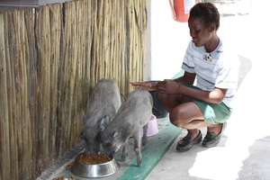 Pen and bags for children