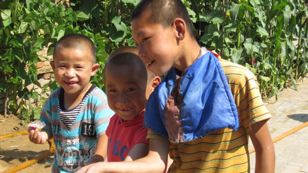 Orphans into loving foster families in China