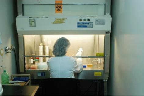 Fight for a Vaccine Against Cancer