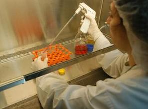 Scientist in the laboratory