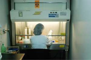 Scientist in the laboratory