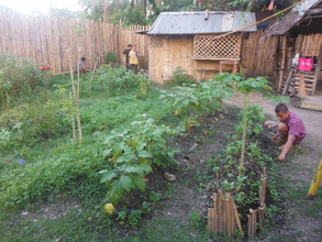 Bamboo fence and its garden, I like flowers