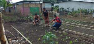 Road to success with new nutrition garden