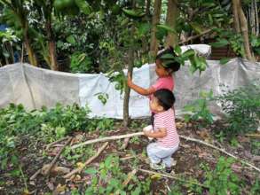 Checking to see if the citrus is ready to harvest