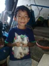 Rabbits for animal protein