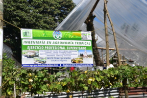 Tropical Agricultre Engineering