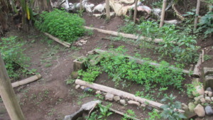 Well-started garden in communal Casa-Granja