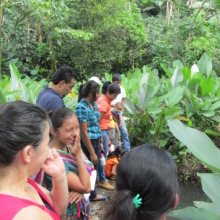Gathering Around the Tilapia Pond