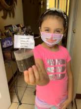 Proud of her sprout from left over tomato seed