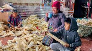 Beneficiaries prepping corn harvest for storage
