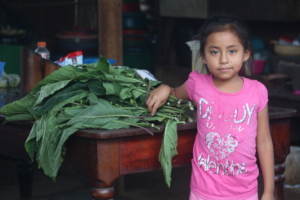 Girl with just-harvested nutritious greens