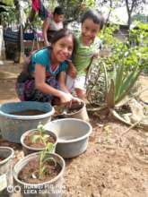 Caring for nutritious greens growing in containers