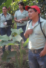 Casa Granja Leader Lucio Explains Plant Spacing