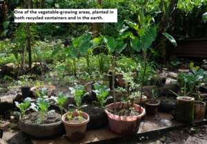 Maribel & Esbin's Casa-Granja--already producing!