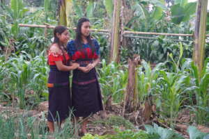 Program Members in Their Brimming Family Garden