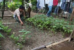 Family Garden in Santo Tomas