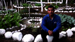 Fernando at his project site