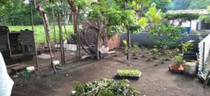 Demonstration nutrition garden