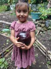 Harvesting eggplant before cooking class with mom