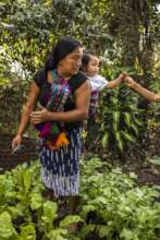 Mother and Infant in their Garden