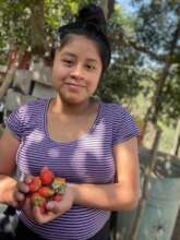 Carmelina's daughter with their strawberry harvest