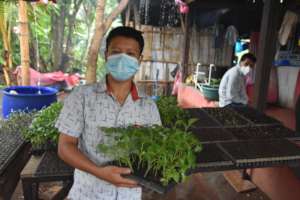 Emanuel with his chile seedlings