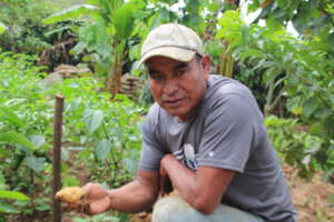 Potatoes ready to harvest in his family's garden