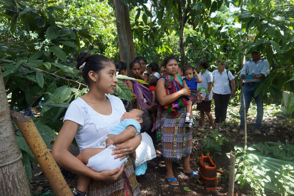 Empower Guatemalan Families With Food & Nutrition