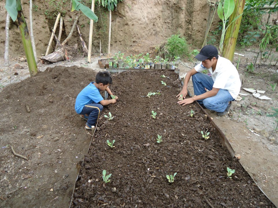 Empower Guatemalan Families With Food & Nutrition