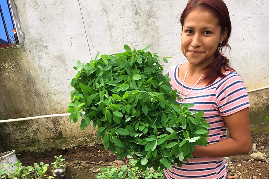 Empower Guatemalan Families With Food & Nutrition