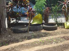 Food plants can also be grown in old tires