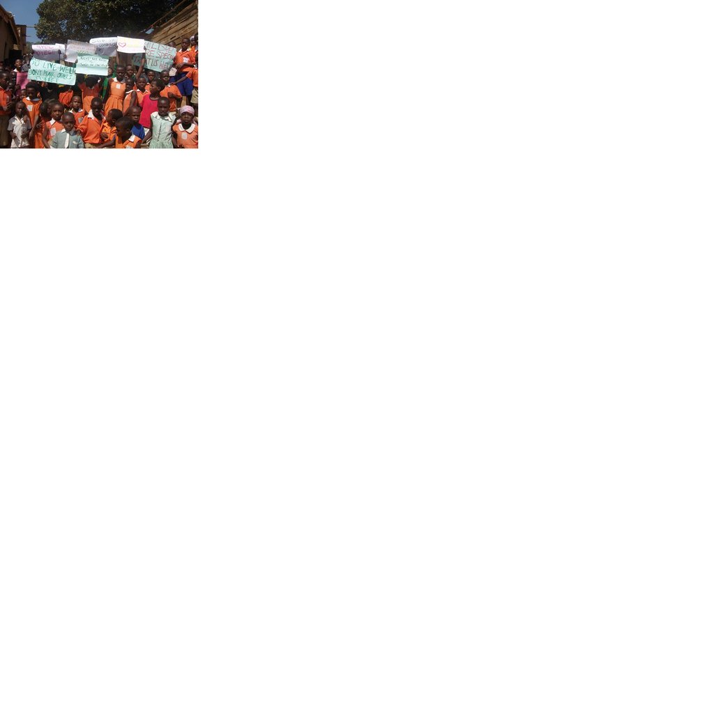 Grow better self help groups in Kampala