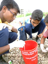 Taking the reading of water temperature