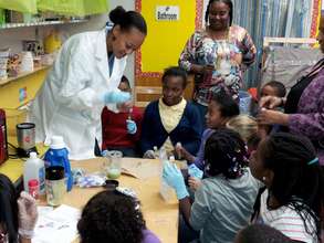 The Experiment Begins