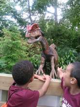 Dinosaurs Come Alive