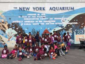 Field trip to the New York Aquarium
