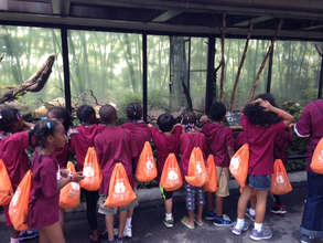 At the Snake Exhibit