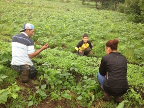 Farming in Nicaragua
