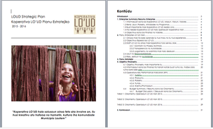 LO'UD Business Plan Feb 2015
