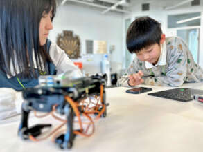 Talking to a robot cat as a household assistant