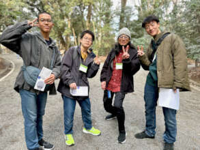 In an artificial forest that has become natural