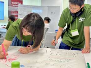 Create the rules for a battery transport game