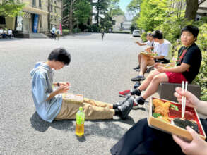 Eat lunch on a university campus