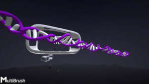 Let's 3D-paint DNA and its replication