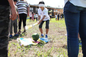 Watermelon Bust - the Japanese style