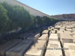 Cultural Preservation & Coexistence in Essaouira