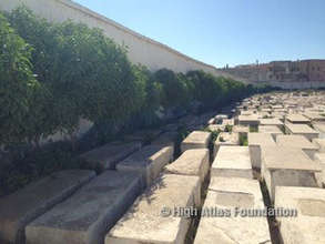 Planting Trees in the Cemetery