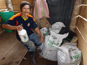 Ecological fertilizer improve farmers' coffee crop