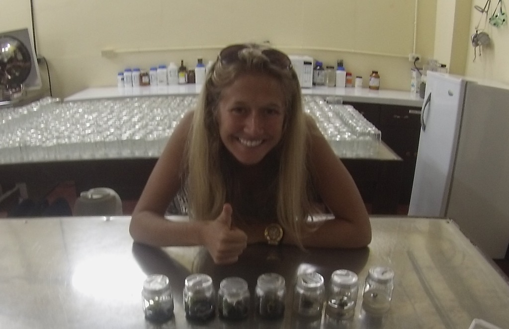 Sarah sees a plantain's various stages in the lab