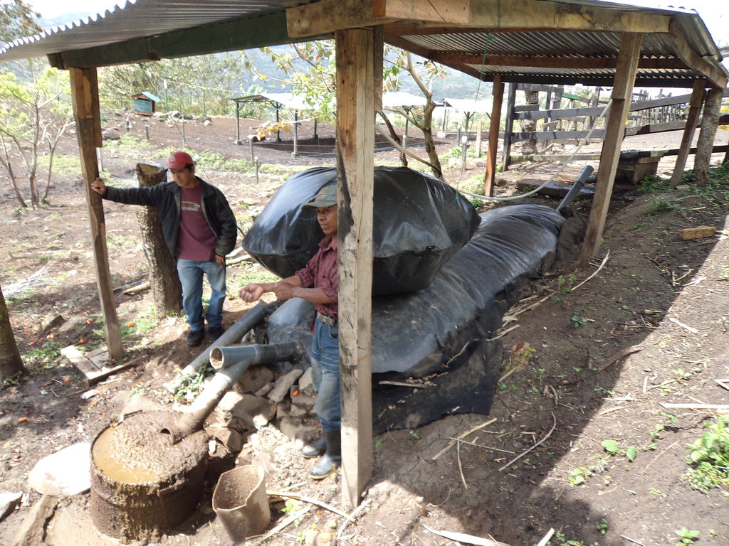 Forging links for 5k farmers in Peru & Nicaragua